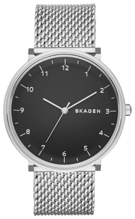 Распродажа Skagen SKW6175