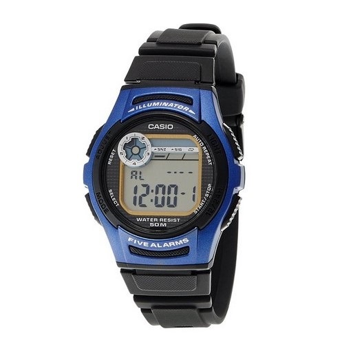 Casio W-213-2A