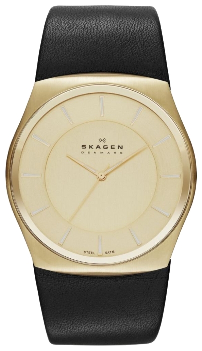 Распродажа Skagen SKW6018